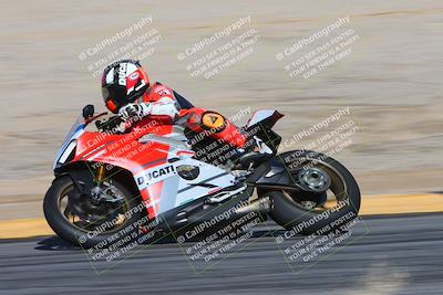 media/Feb-04-2024-SoCal Trackdays (Sun) [[91d6515b1d]]/4-Bowl Backside (11am)/